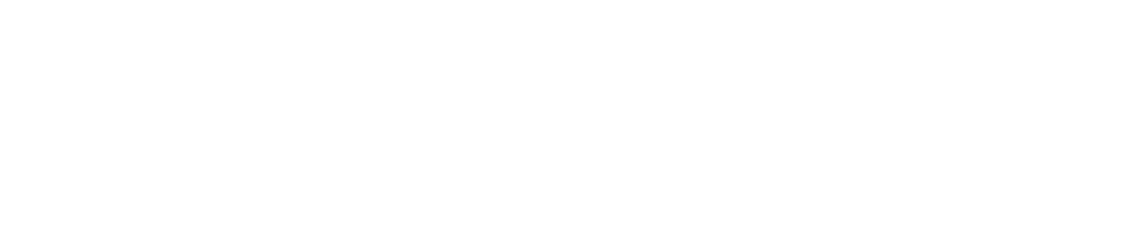 Netcamara