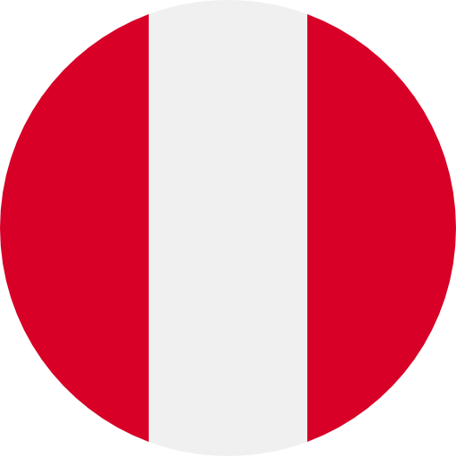 PRESENTACION CITYSAFE EN LA ASOCIACION NACIONAL DE CONSULTORES EN SEGURIDAD CIUDADANA E INTEGRAL